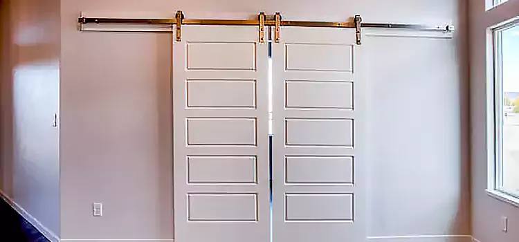 Glass Barn Door with Installation Hardware Kit Pharr
